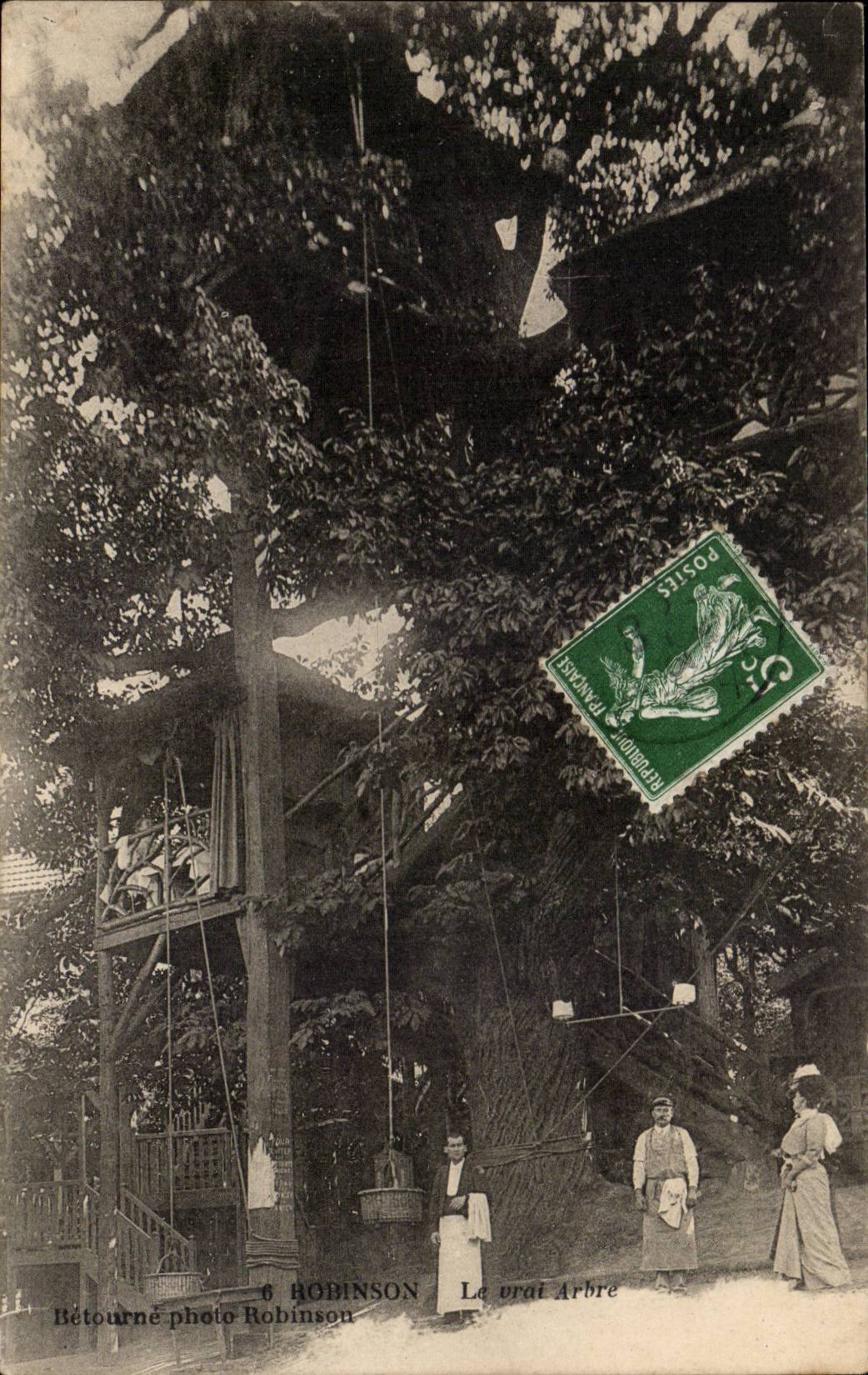 Robinson CPA the true tree