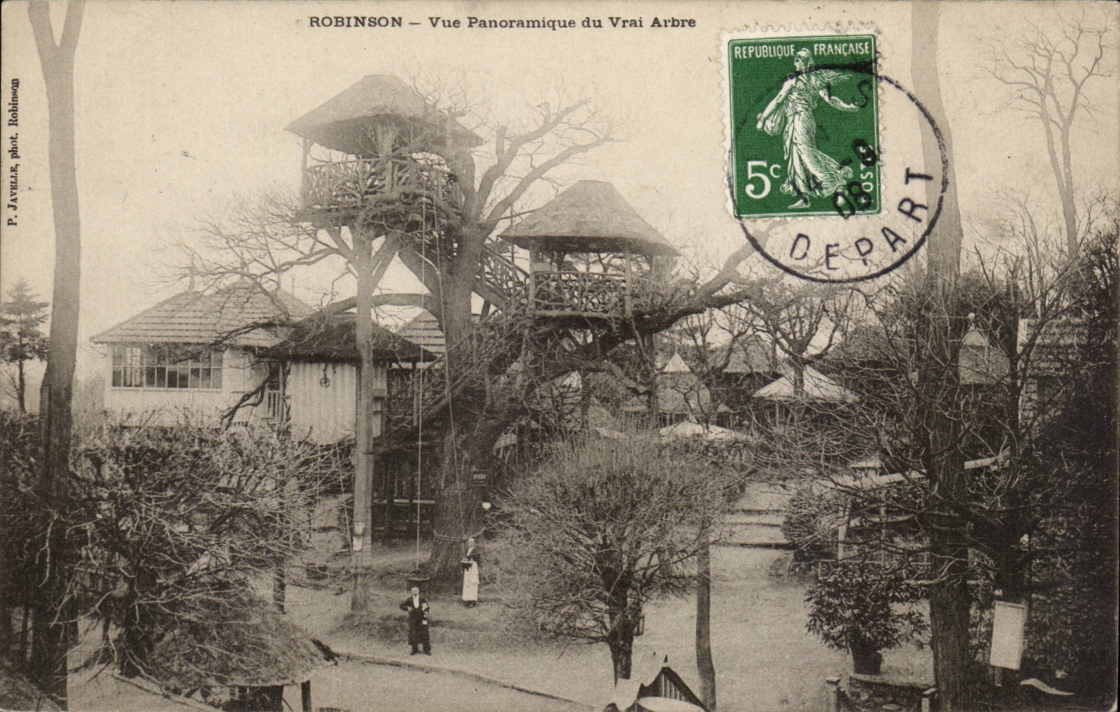 Robinson CPA Panoramic View of the true tree