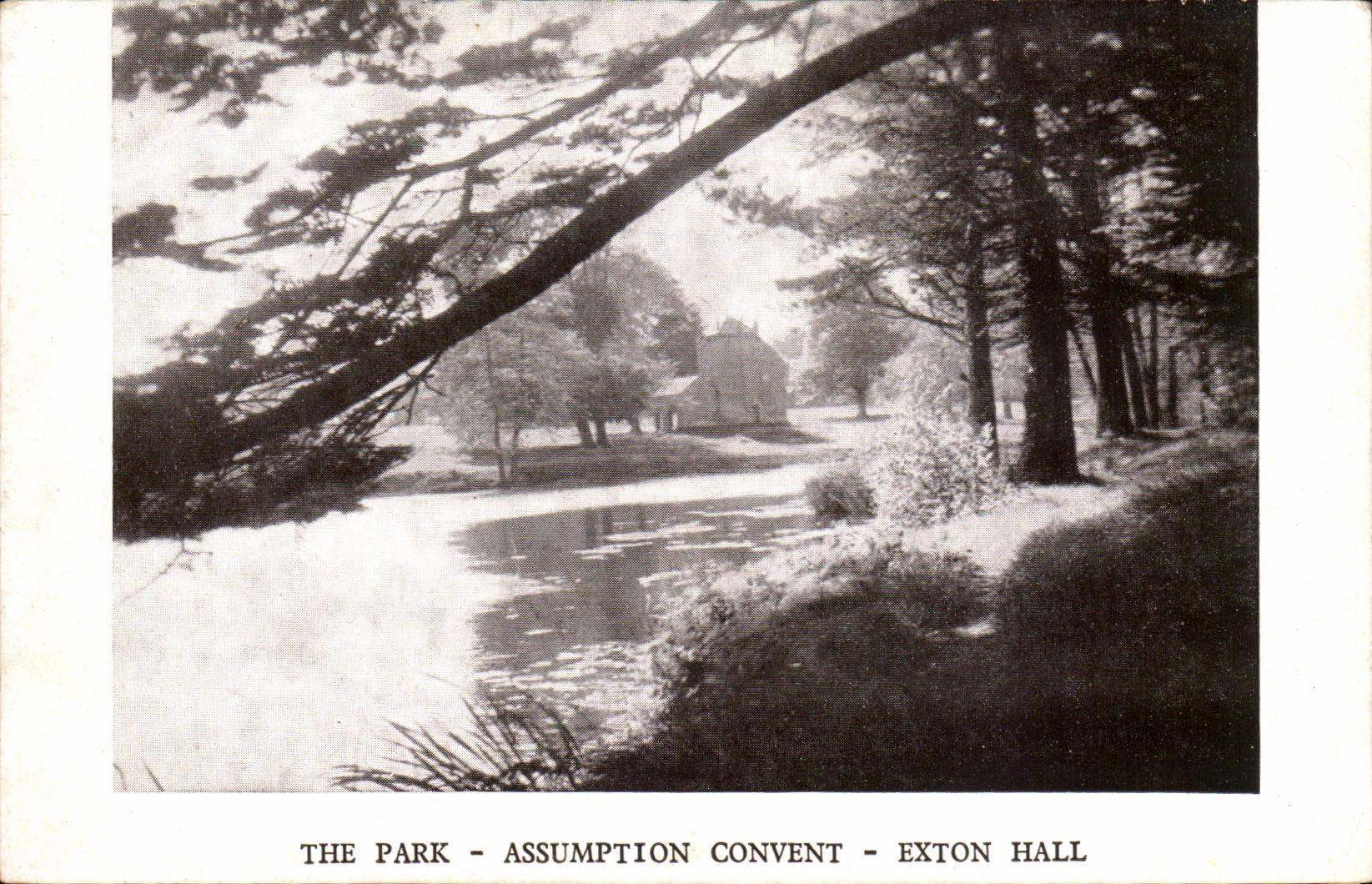 Grande Bretagne Great BRitain CPA Assumption convent Exton Hall