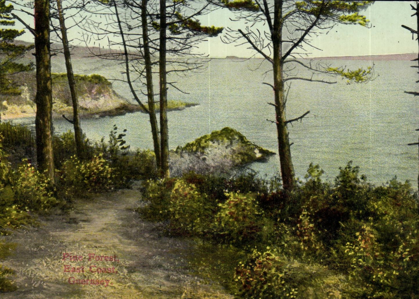 England - England - Guernsey - Prick Forest East Coast - CPA