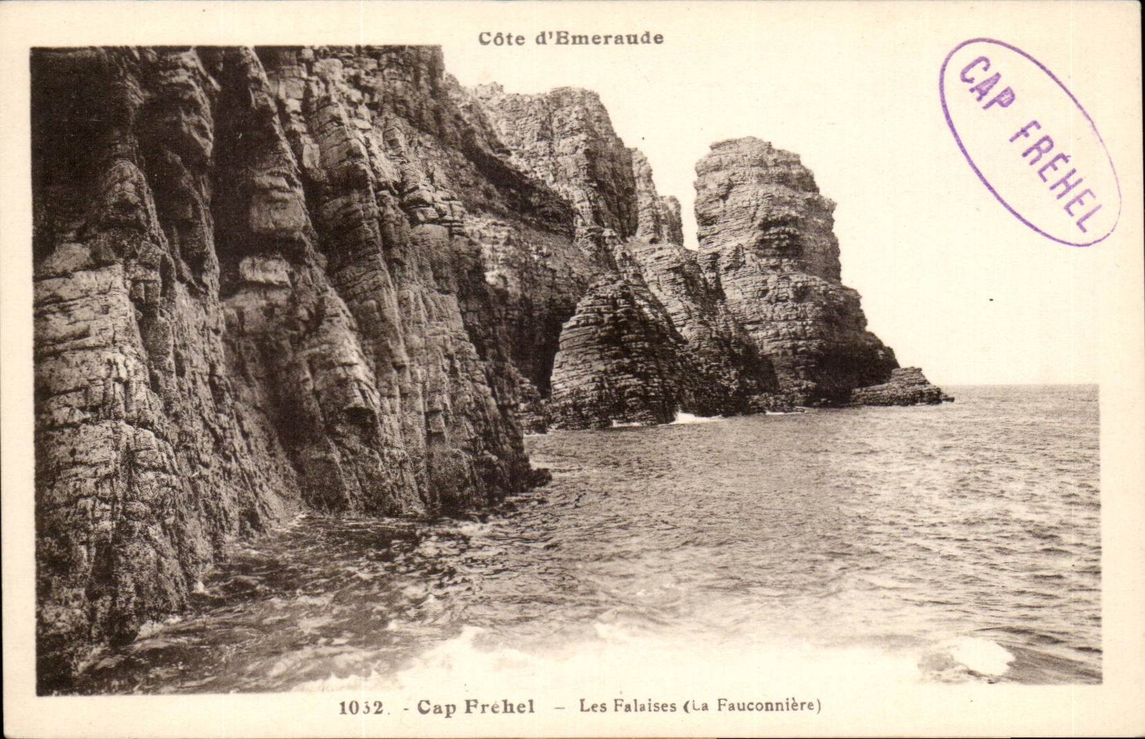 Cape Frehel CPA the cliffs (fauconnery)