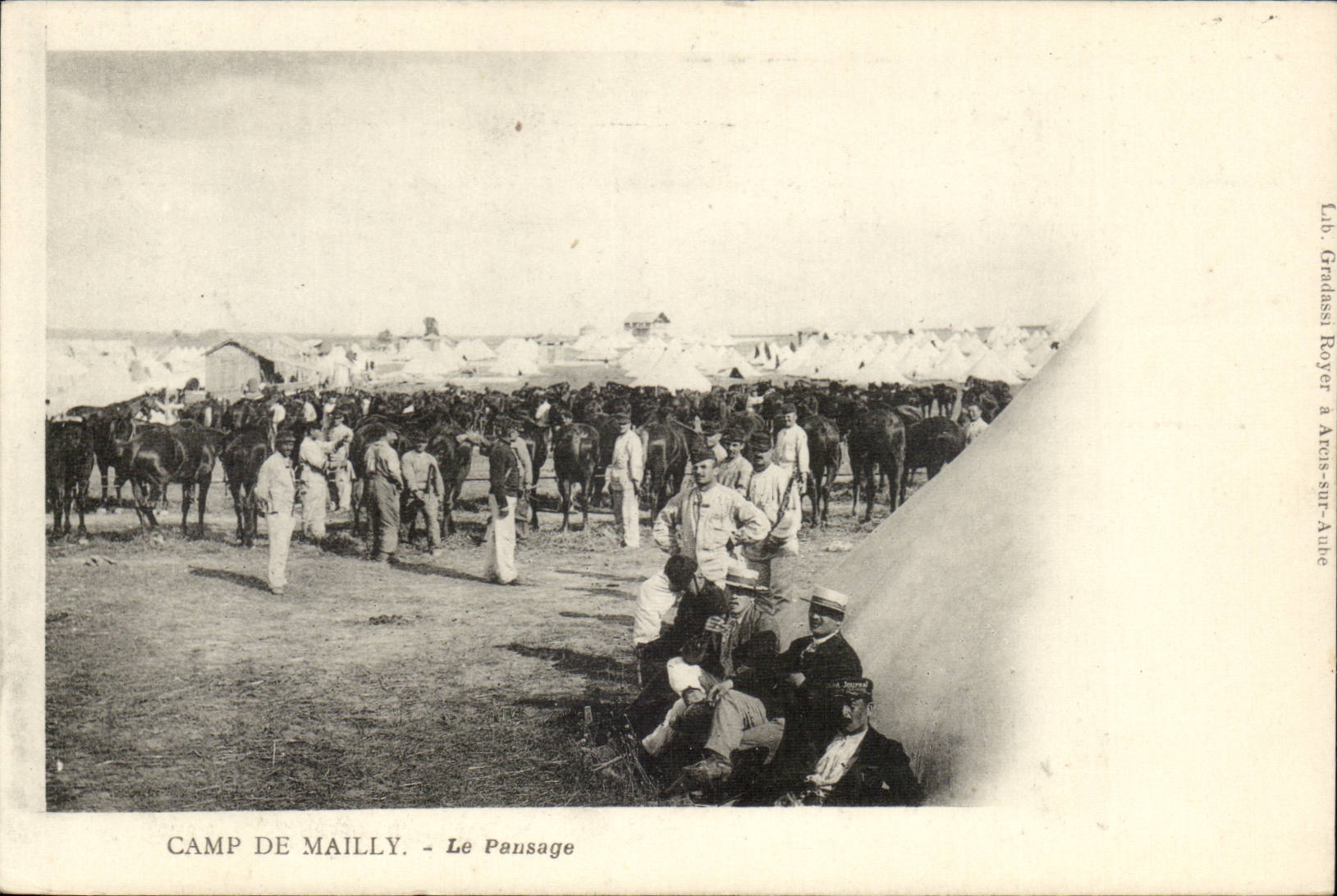 Militaria Camp of Mailly CPA grooming (horses)