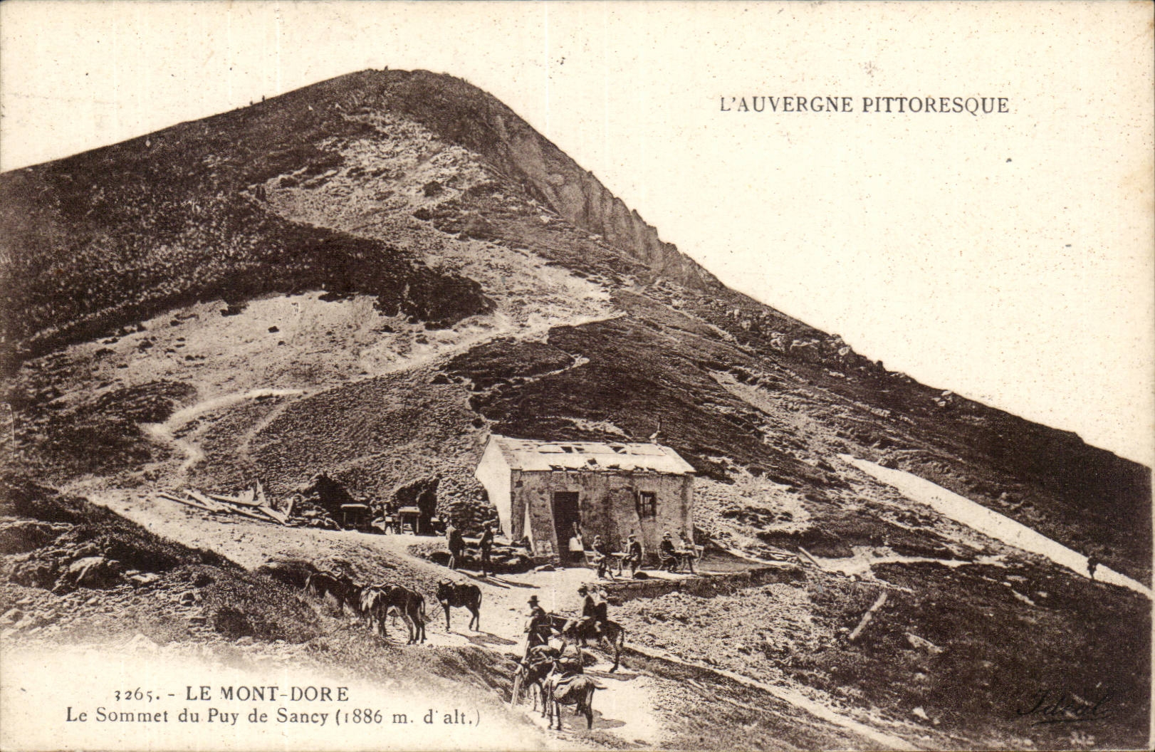 The mount Gilds CPA the top of Puy de SAncy Auvergne (ass donkey mule)