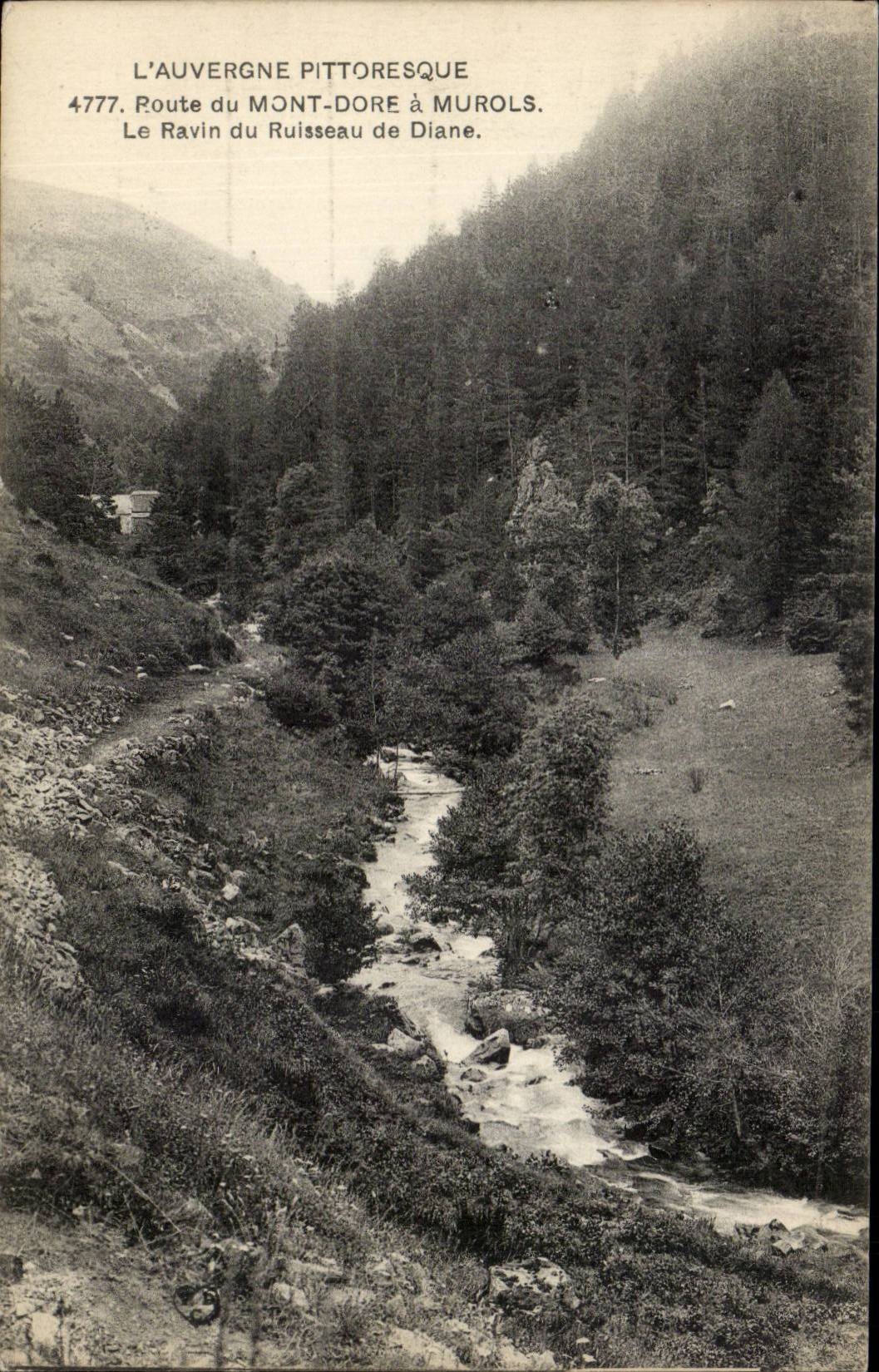 The mount Dore CPA Route of the Mount Gilds has Murols the ravine of the brook of Diane