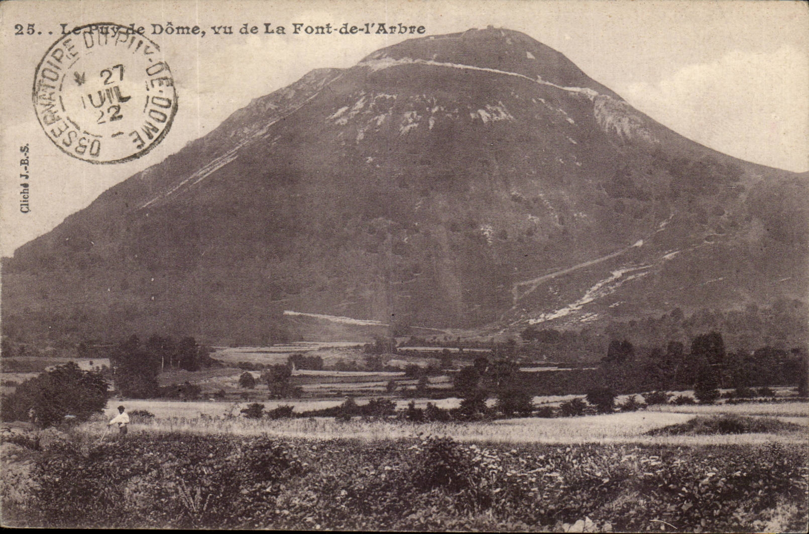 CPA Puy de Dome Seen of Make tree