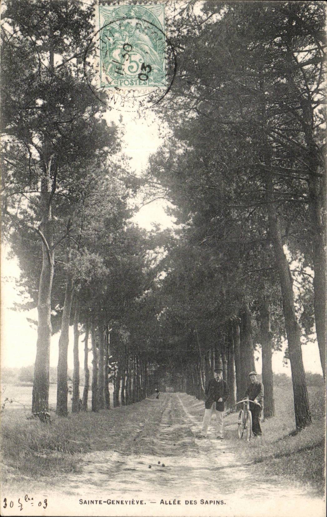 Sainte Genevieve CPA Allee der Tannenbaume