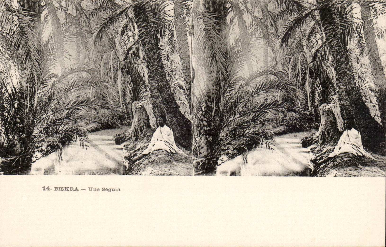 Stereoscopic sights Algeria Biskra CPA an Irrigation channel