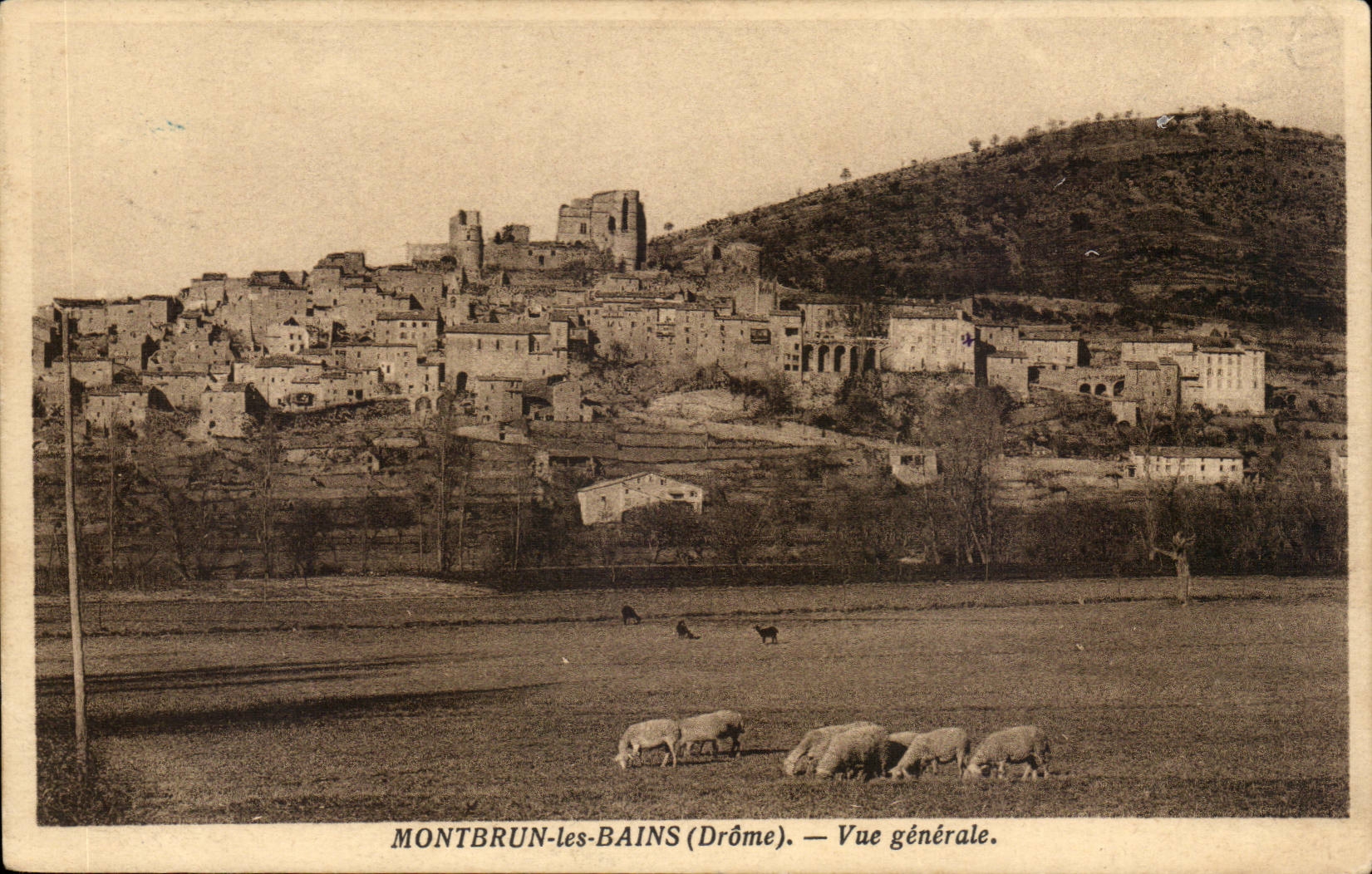 Montbrun lesBains CPA View (sheep)