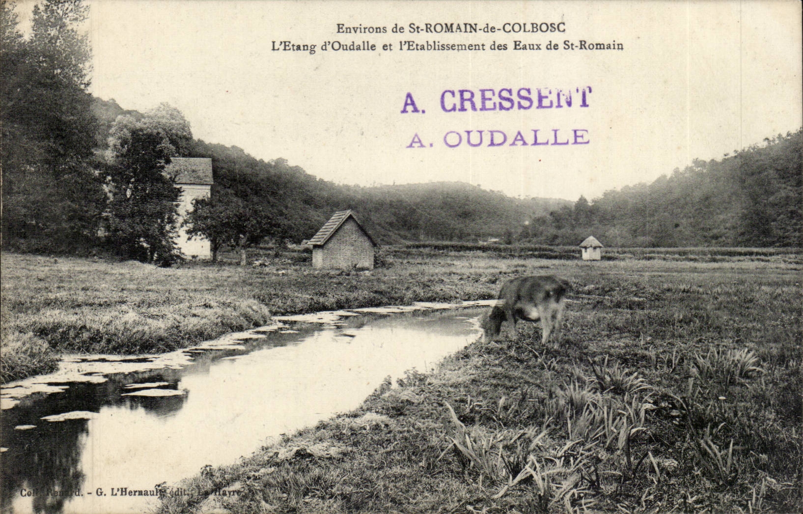 Surroundings of Romance St of Colbosc CPA the pond of Oudalle and establishment of water of St Romain