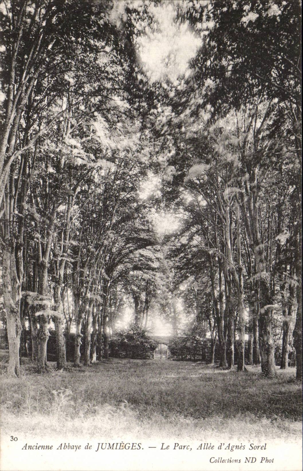 Old abbey of Jumieges CPA the park gone Of Agnes Sorel