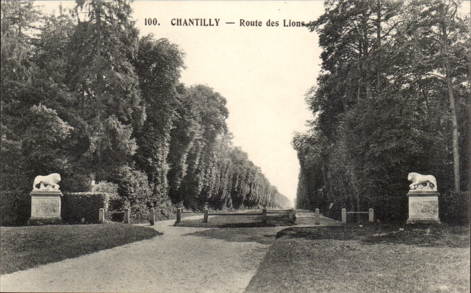 CPA Castle of Chantilly Museum Road of the lions