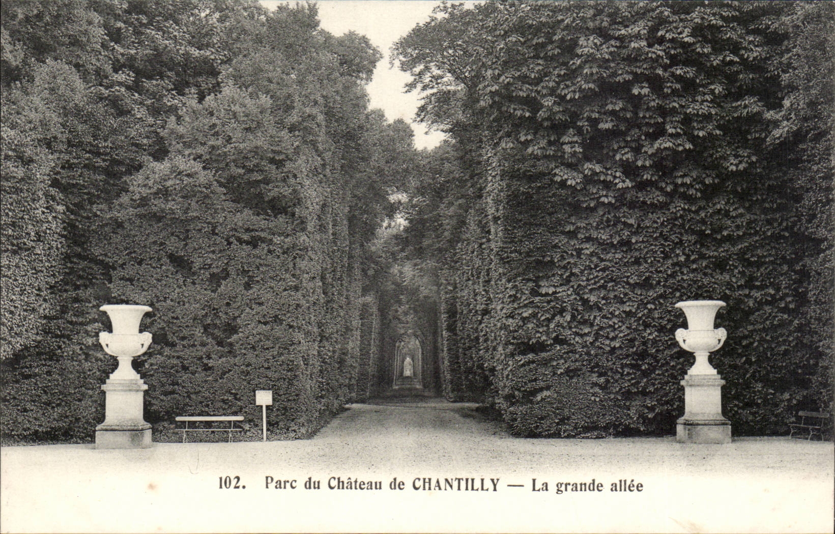 CPA Castle of Chantilly Museum the large alley