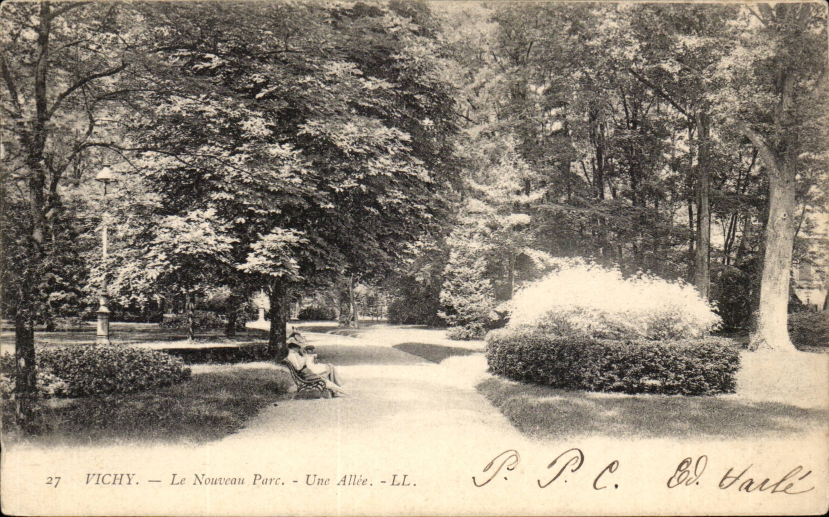 Vichy - Le Nouveau Parc - Une Allee - CPA 