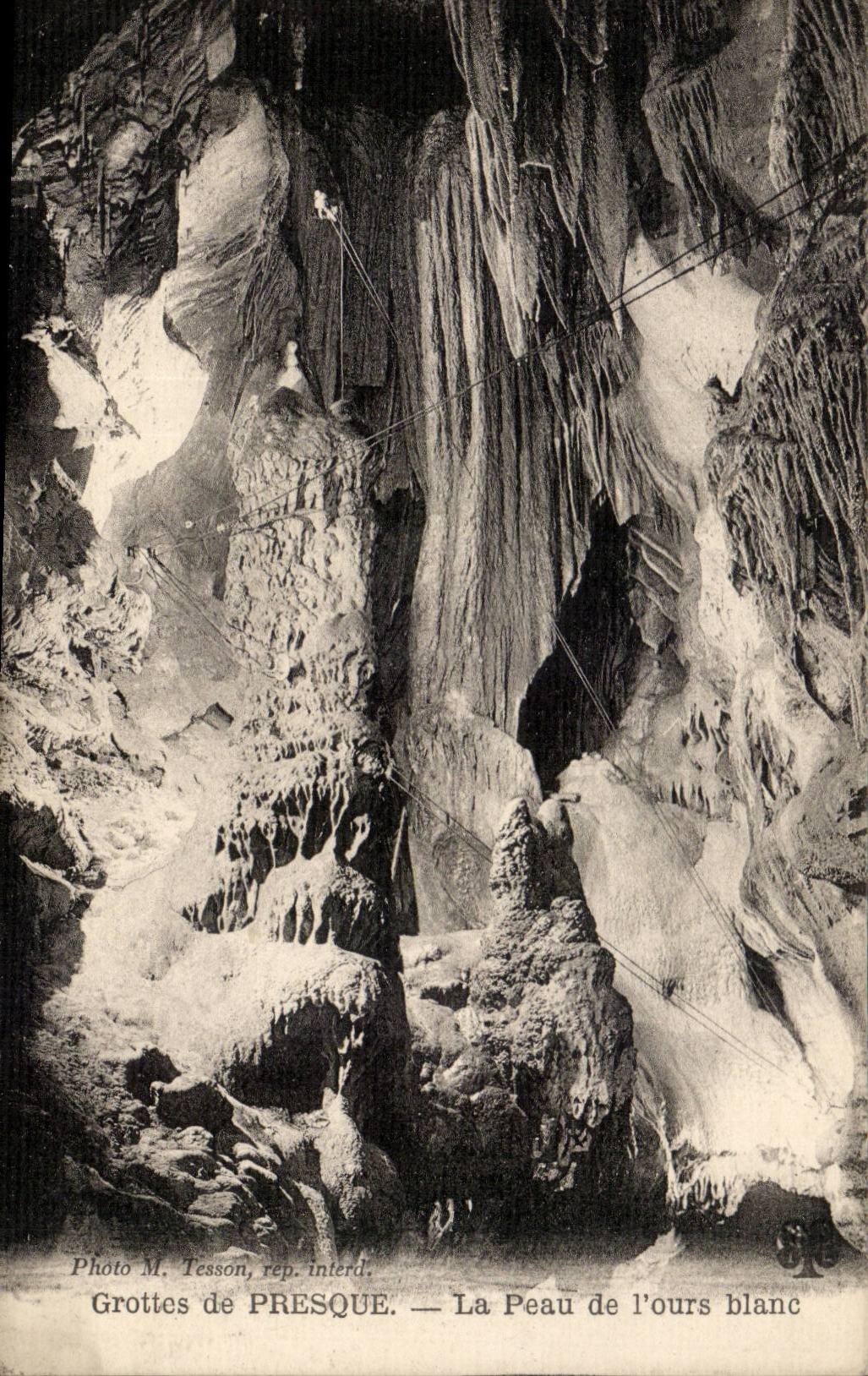 Grottes de presque CPA La peau de l'ours blanc