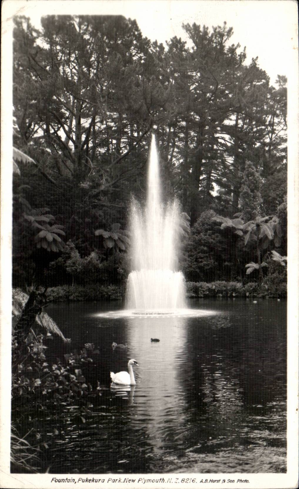 Grande Bretagne CPA Fountain Pukekua plymouth