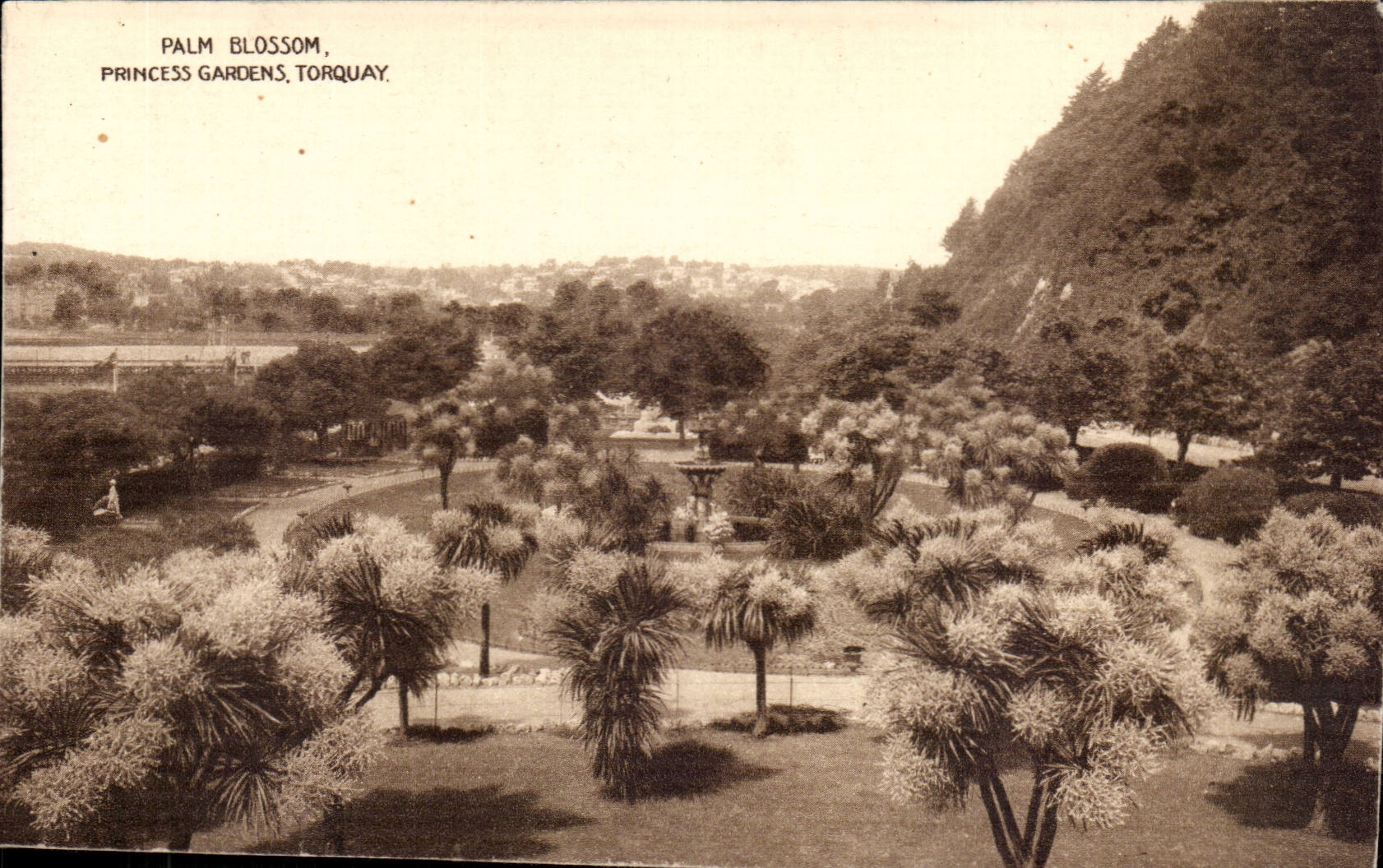 Great Britain CPA Palm Blossom princess Gardens Torquay