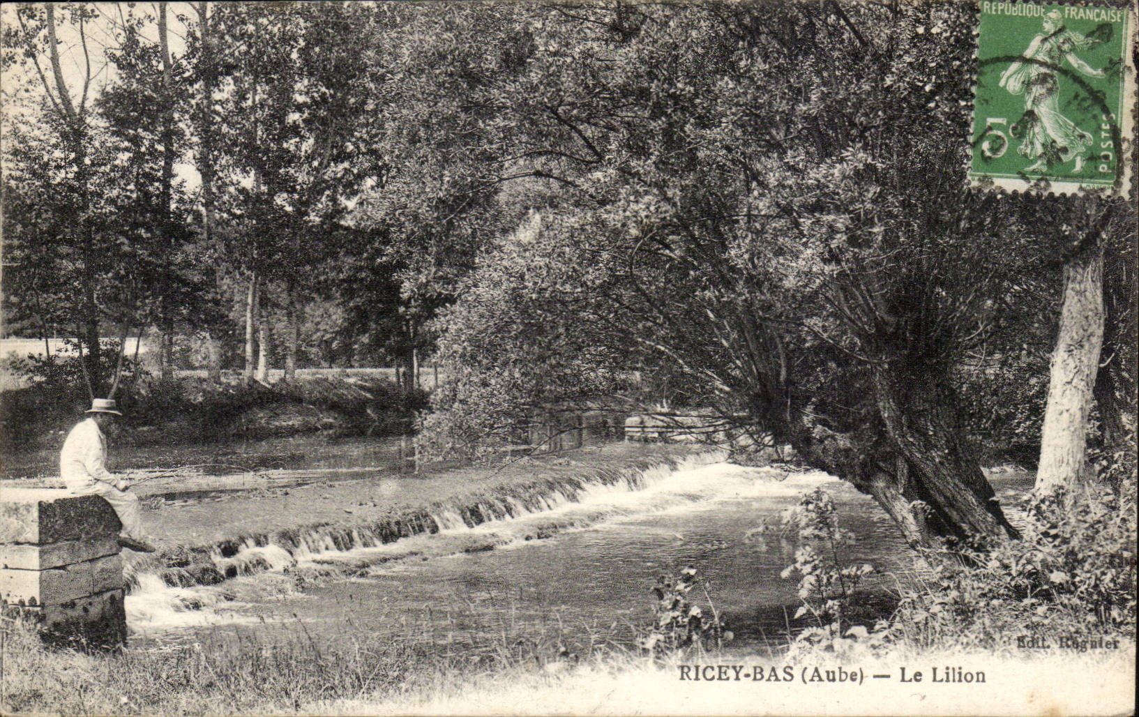 Low Ricey CPA the lillion