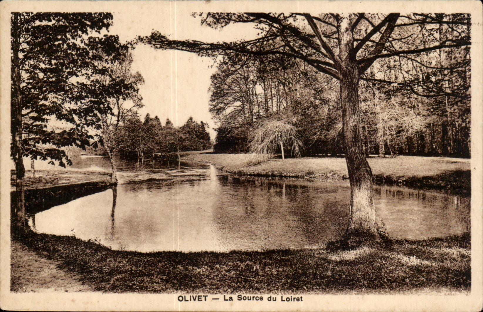 Olivet CPA the source of Loiret