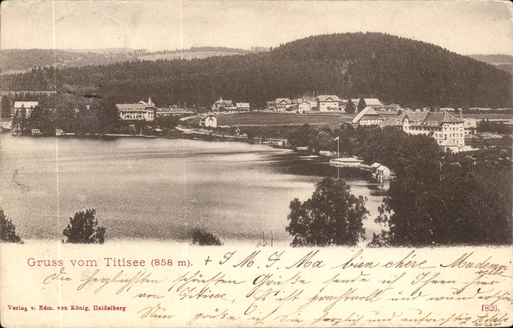 CPA Gruss vom Titisee Schwarzwald 
