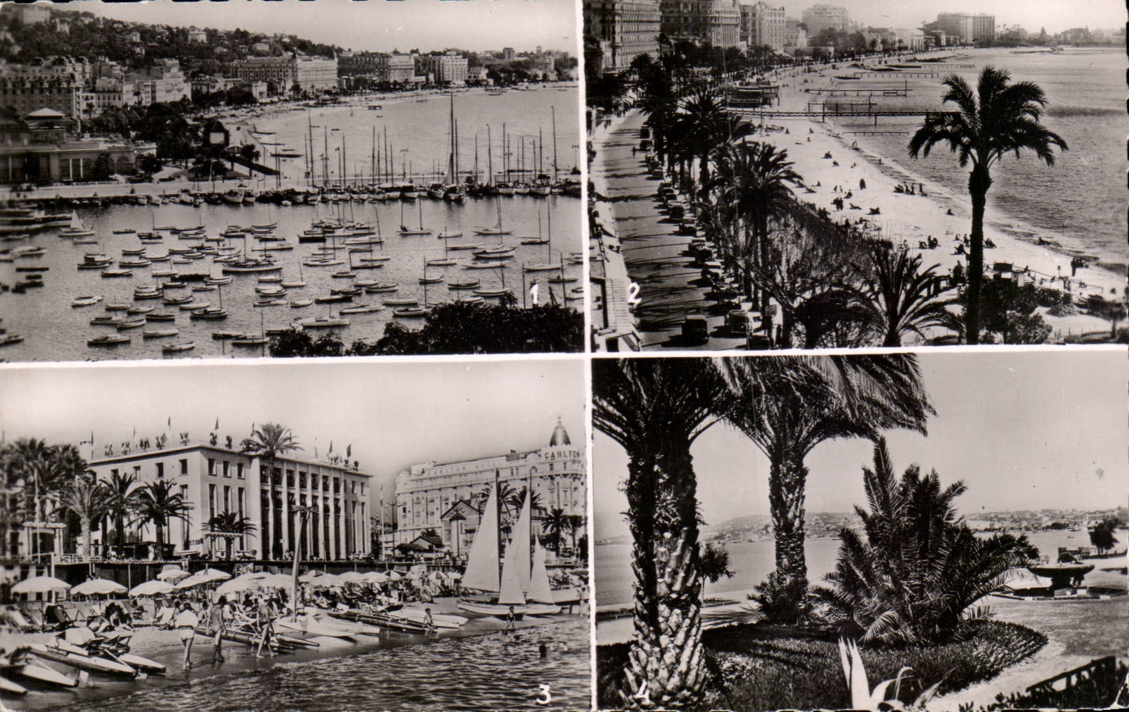 Cannes CPA the port the Small cross palate of the festival Garden of the casino