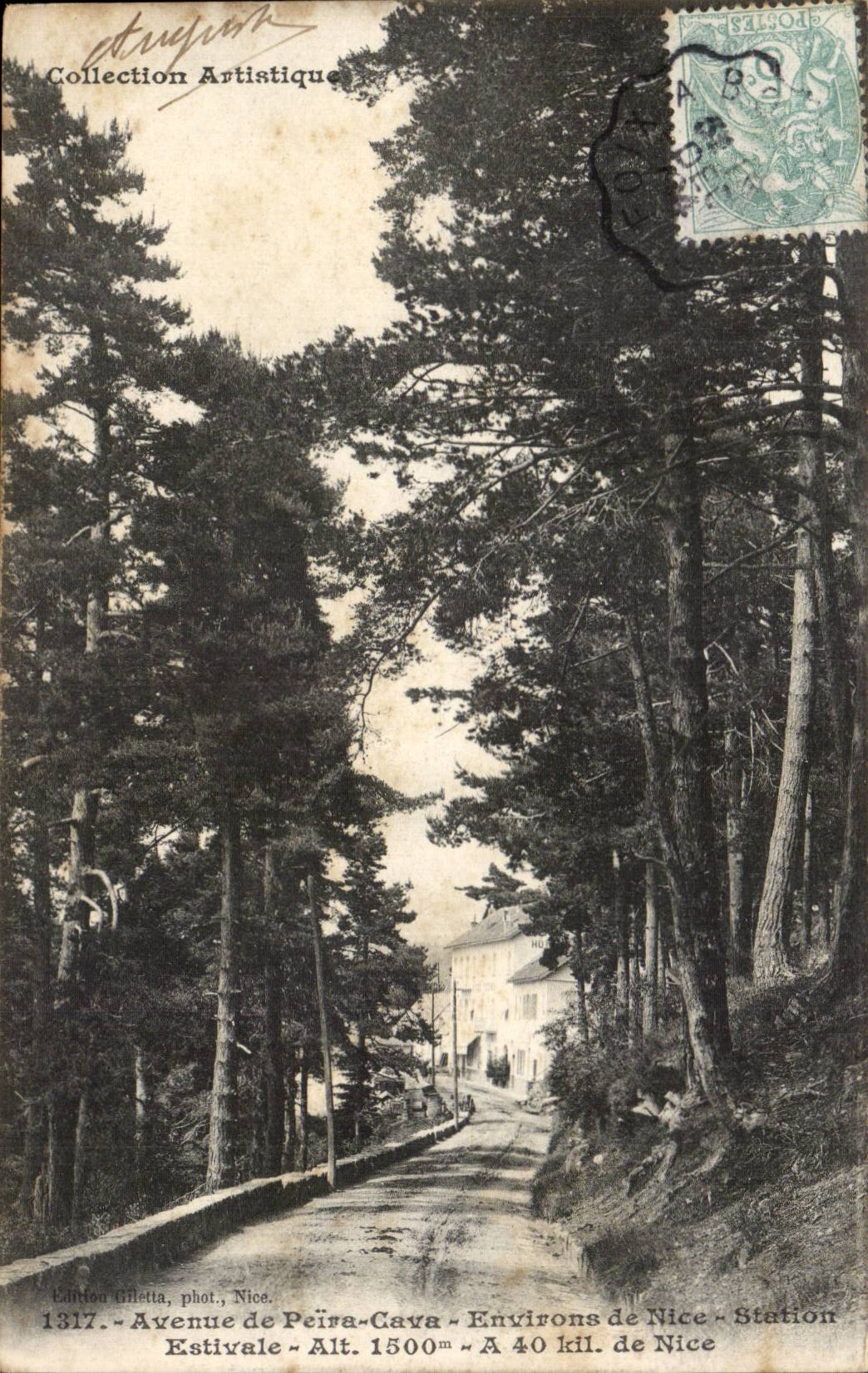 Avenue de Peira Cava - Umlagerungen von Nizza - sommerliche Station - CPA