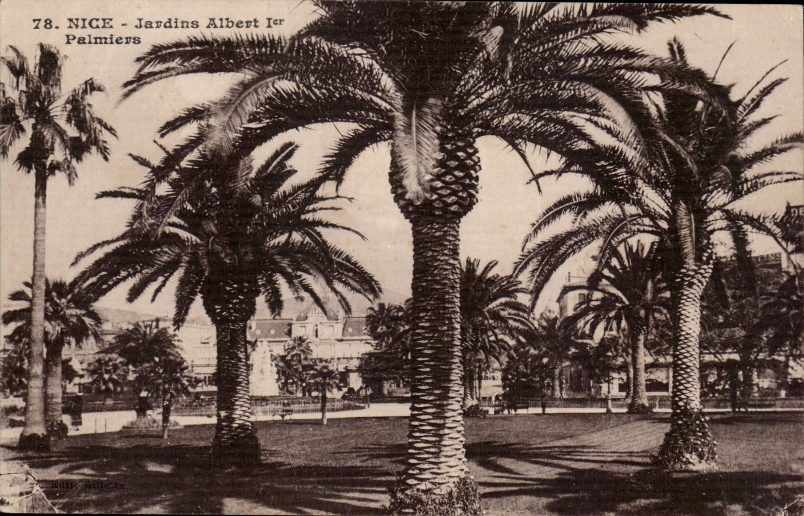 Nette - Garden Albert - Palmen - CPA