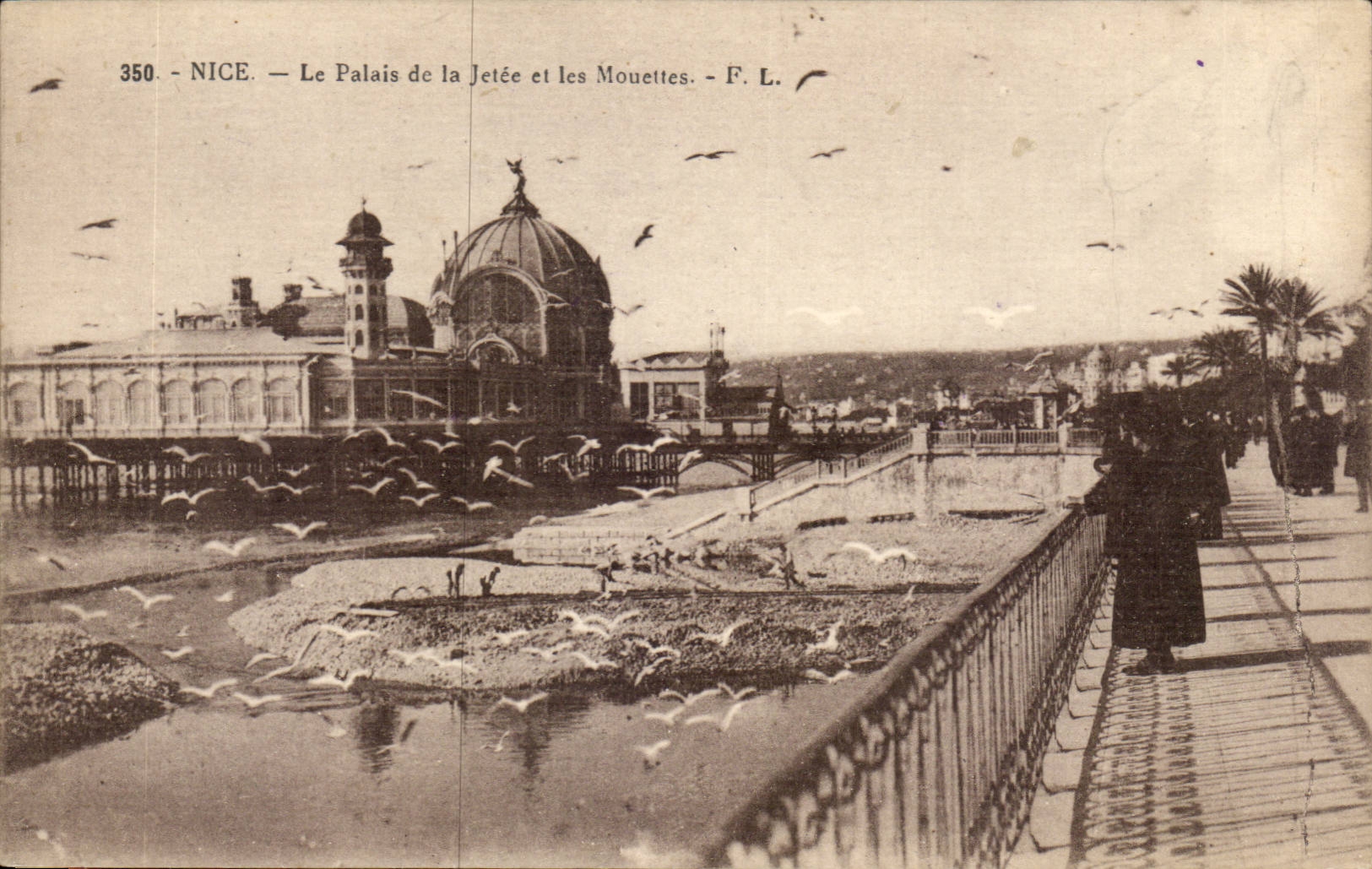 Nettes CPA der Gaumen des Piers und der Moven