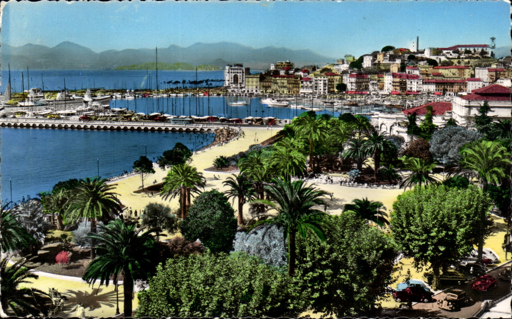 Cannes CPA the garden and the port