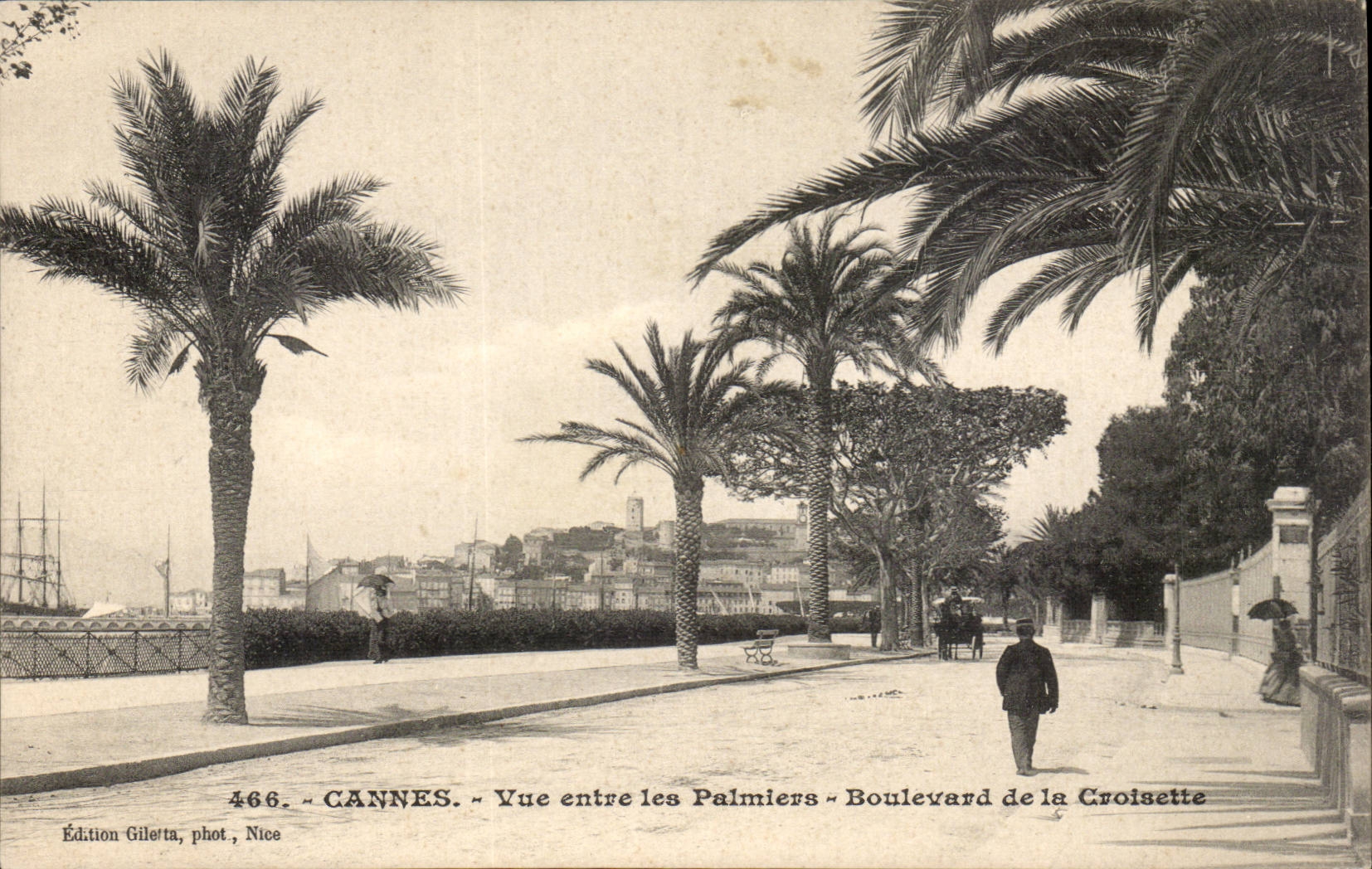 Cannes CPA Seen between the palm trees Boulevard of the Small cross