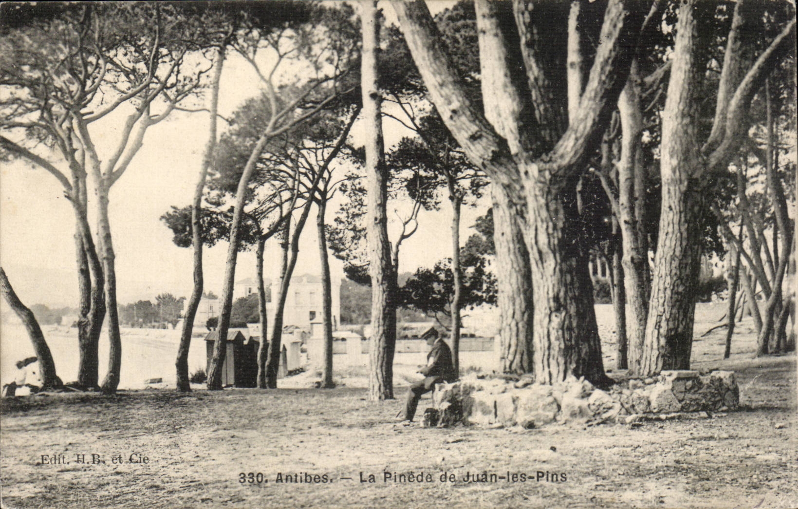 Antibes CPA the Pine forest of Juan Pines