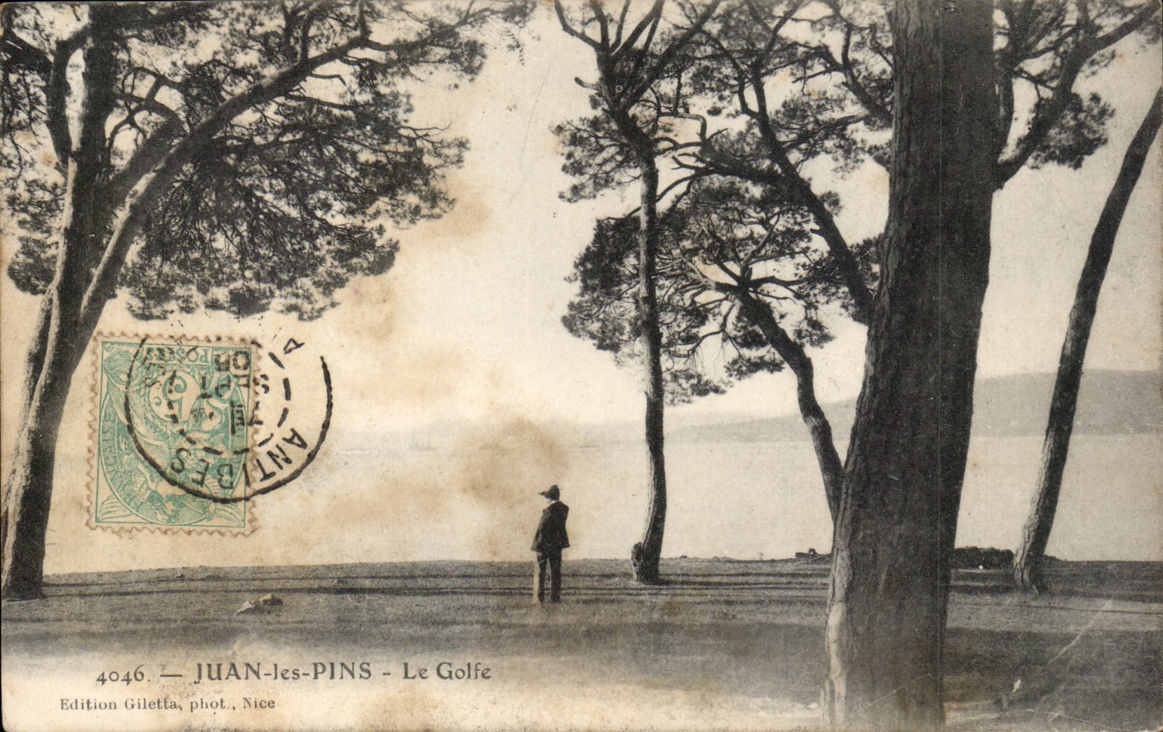 Juan Pines CPA the gulf