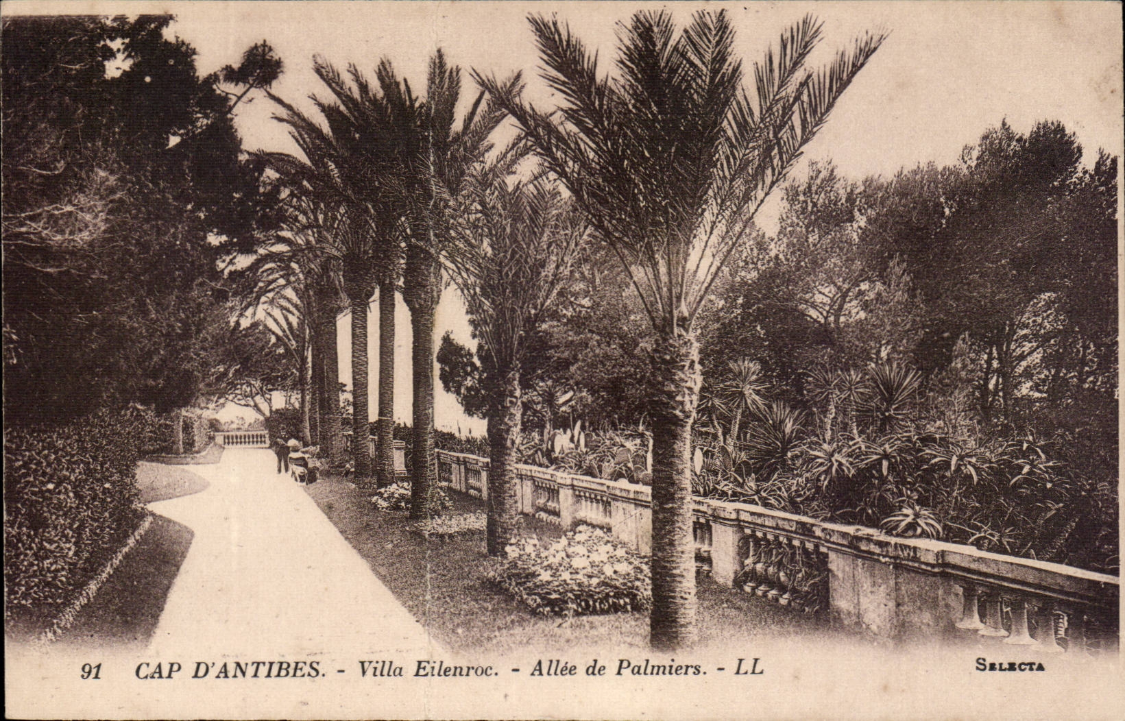 Cape of antibes CPa Eilenroc Villa Allee of palm trees