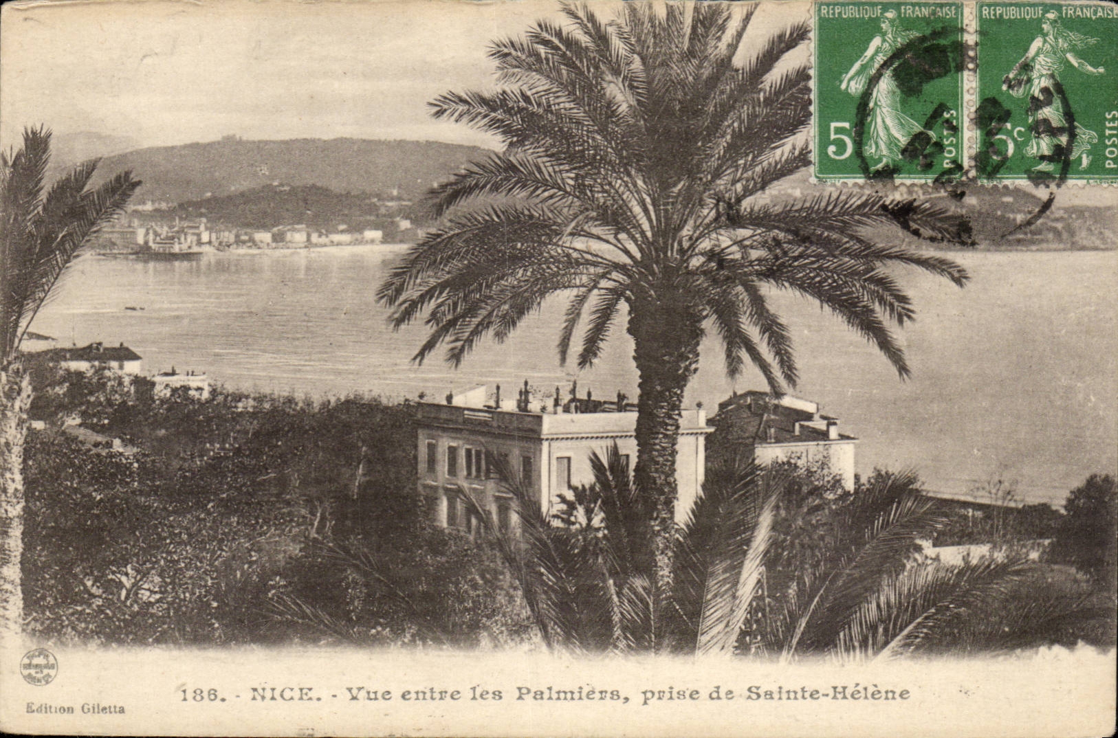 Nettes CPA gesehen zwischen die Palmen Sainte genommen von Helene