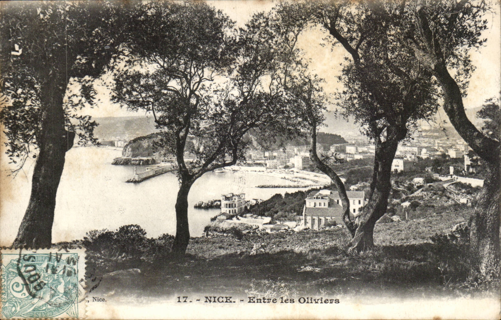 Nettes - Eingang der Olive-Baume - CPA