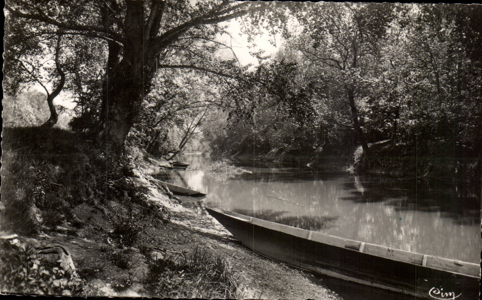 Vouvray les Vins Bords de la Cisse - CPA