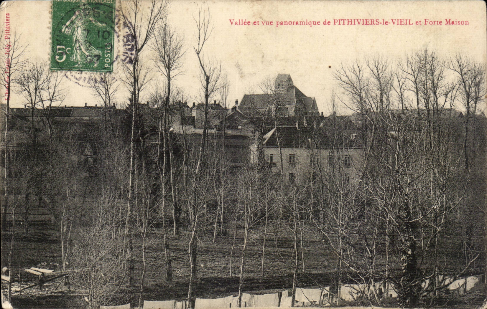 CPA Valley and panoramic sight of Pithiviers the city and Strong house