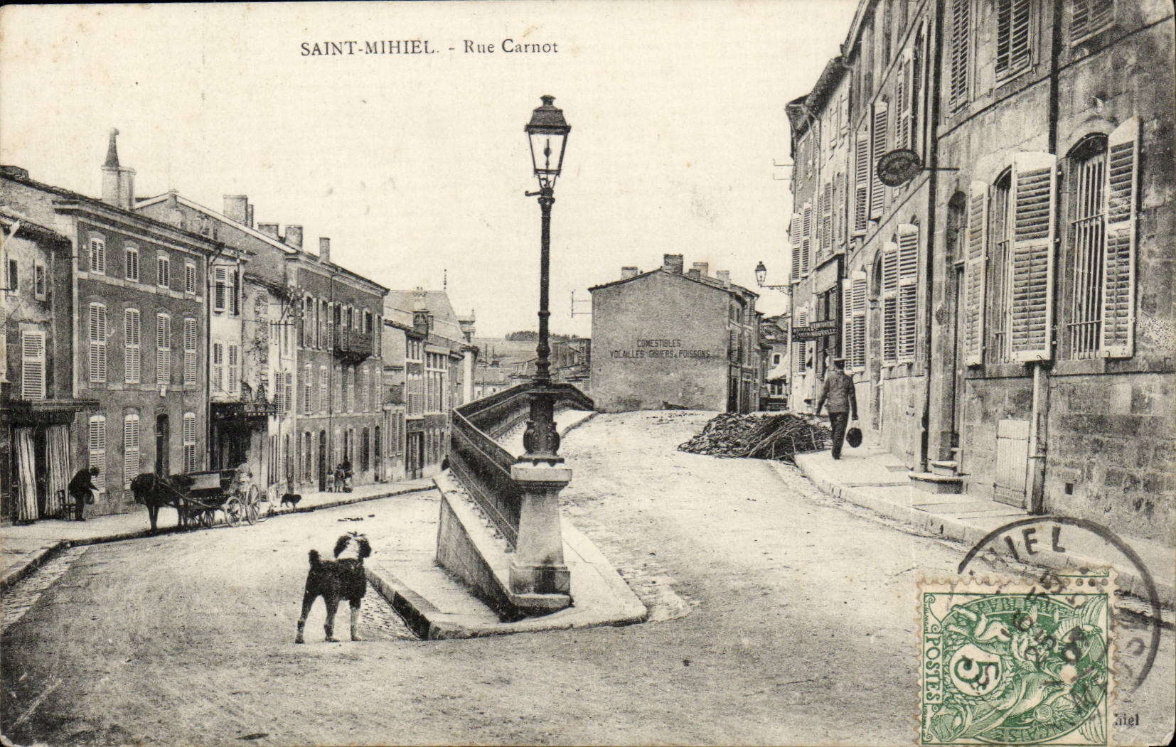 Saint Mihiel - Street Carnot - dog - dog - CPA