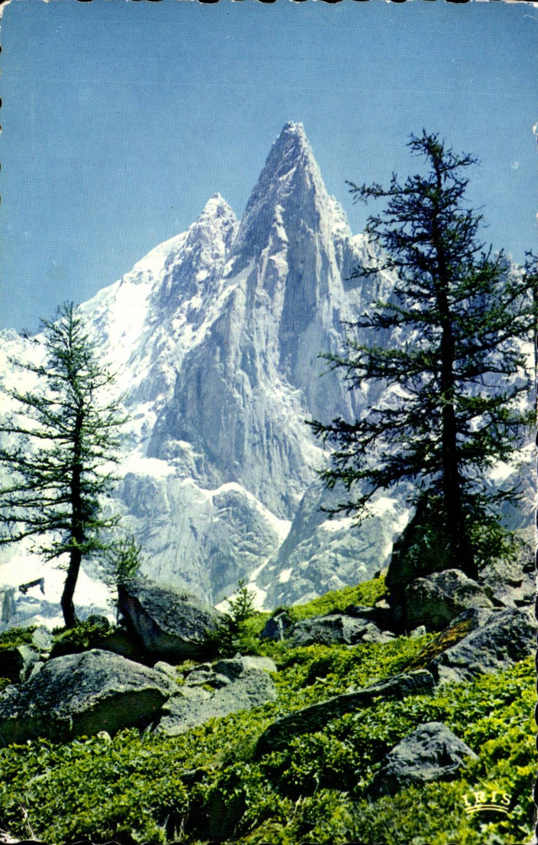 Chamonix mont Blanc CPM les Drus et l'aiguille verte depuis le Montenvers