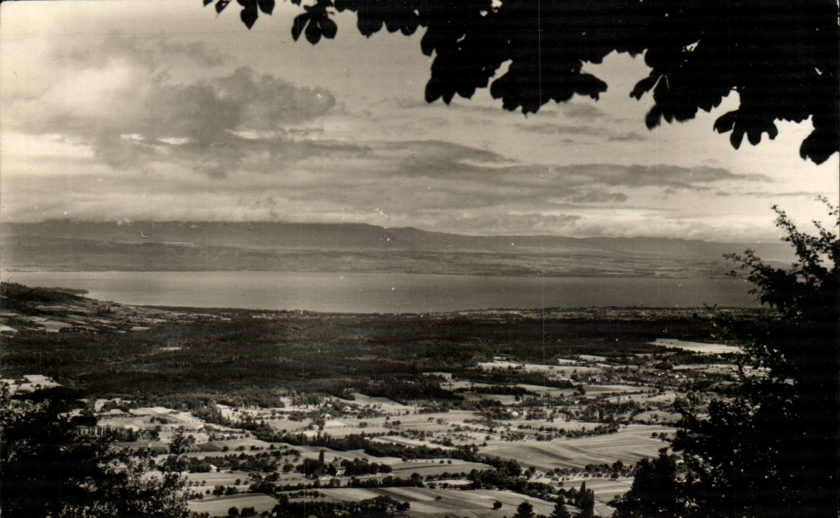 Saxel MODERN CARD Seen on Chablais and the lake leman