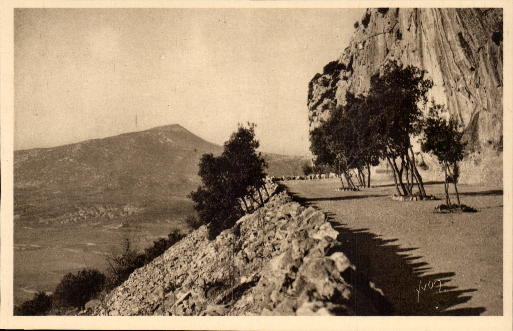 Montpellier - Environs - Grotte des Demoiselles - La Caverne Merveilleuse - La Terrasse - CPA 