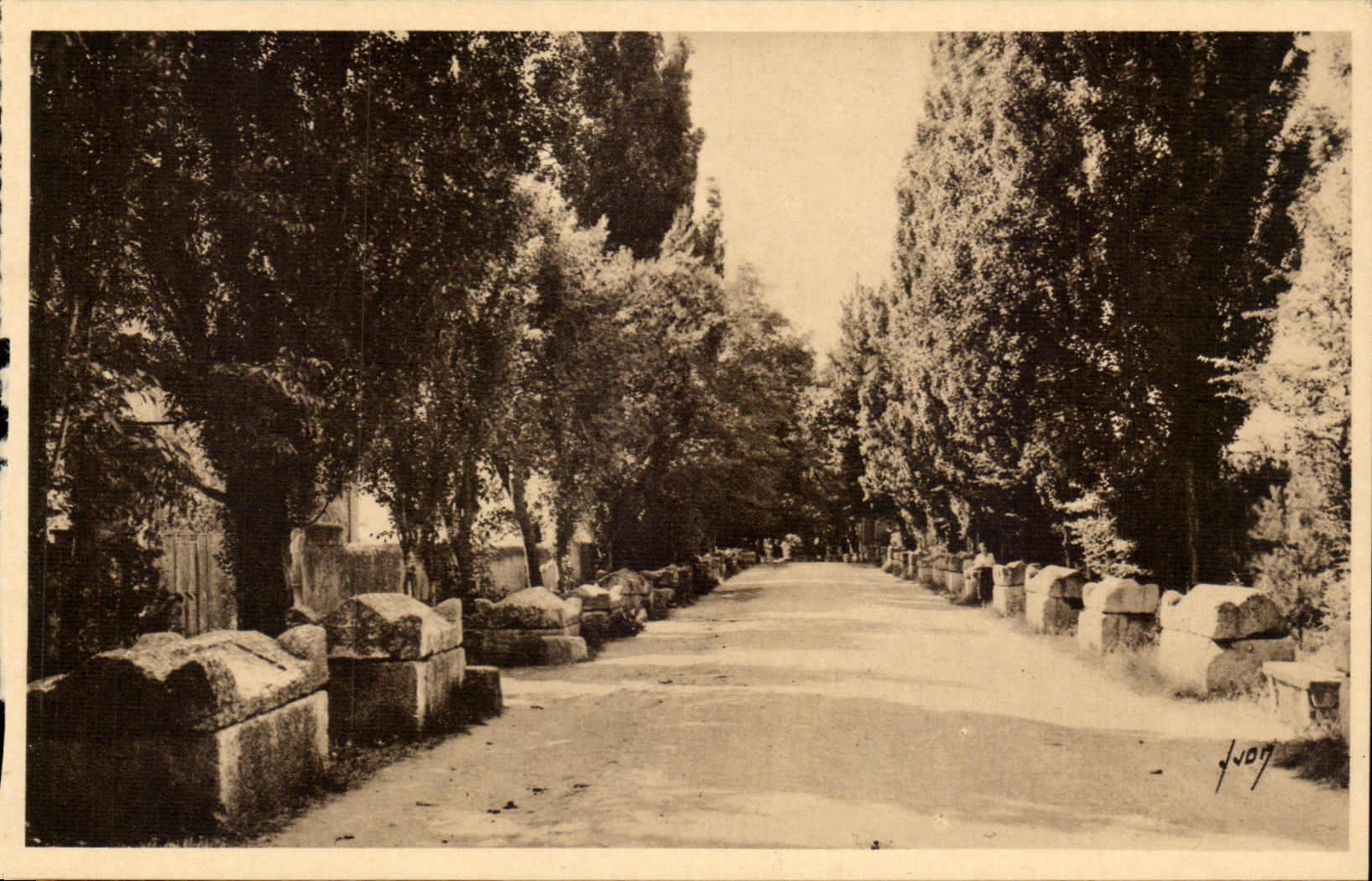 Arles - Aliscamps - Allee of the Tombs - CPA