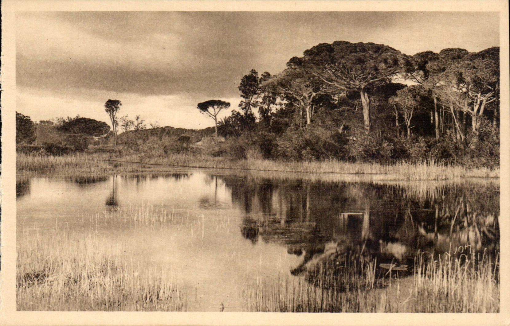 Hyeres - Landschaft auf der Strasse des Strandes CPA