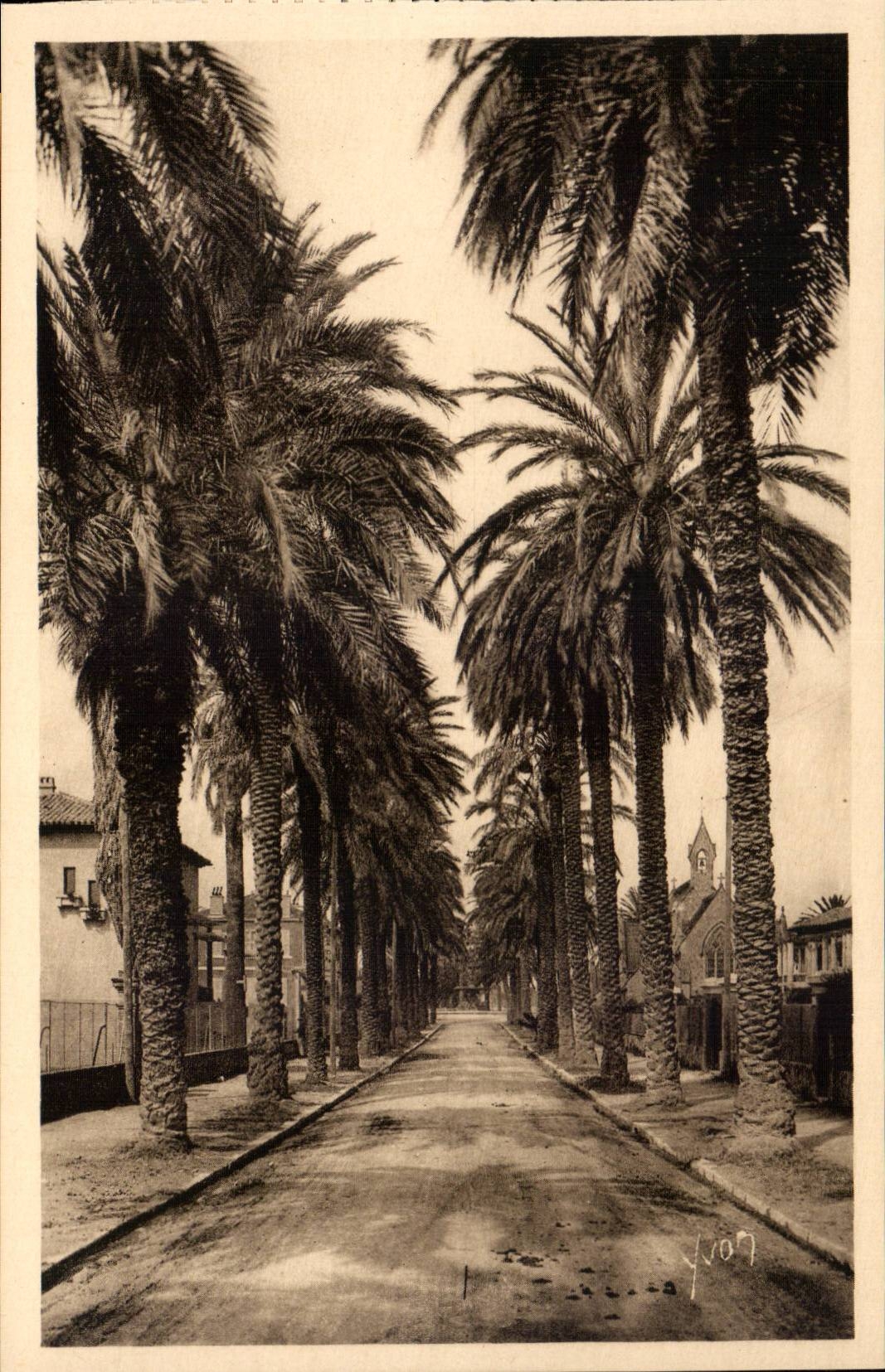 Hyeres - Prachtstrasse von Beauregarde CPA