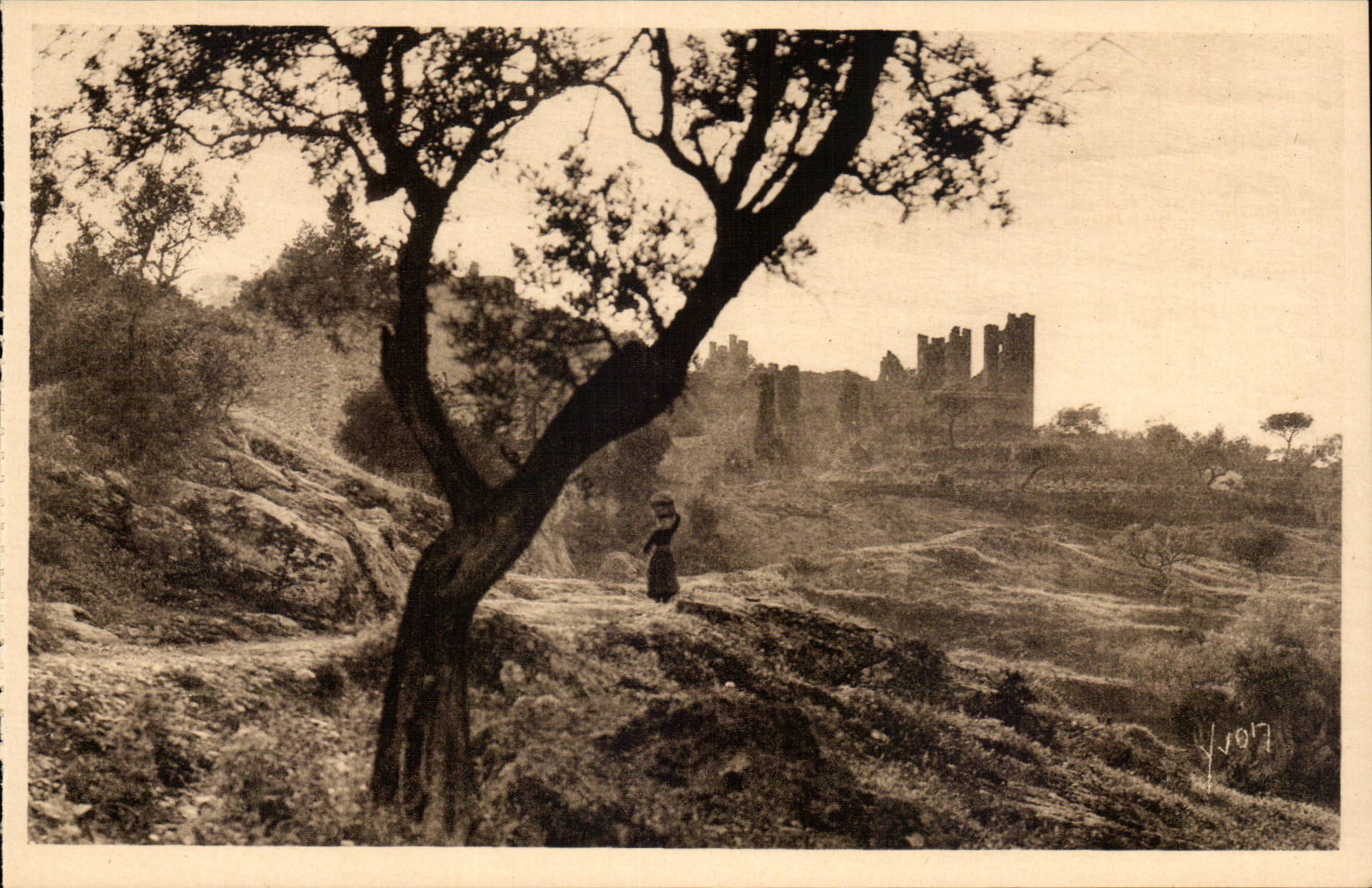 Hyeres - das alte Schloss gesehen durch Olive-Baume CPA