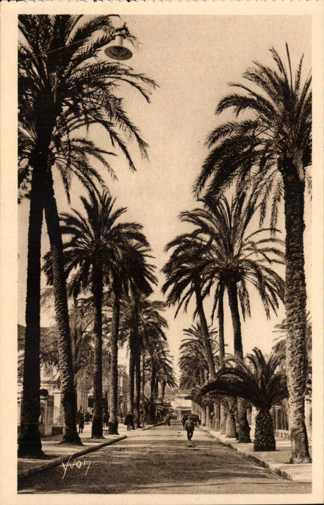 Hyeres - Allee von Belgien CPA