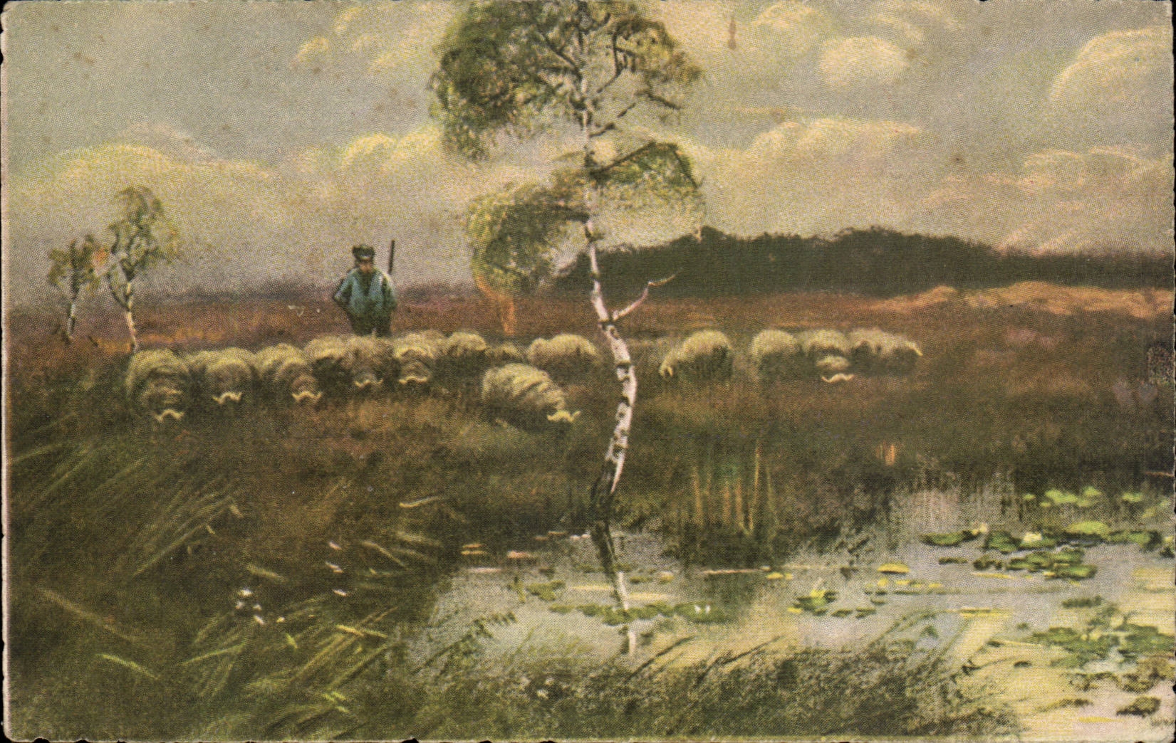 CPA Paysans et ses moutons (sheep)