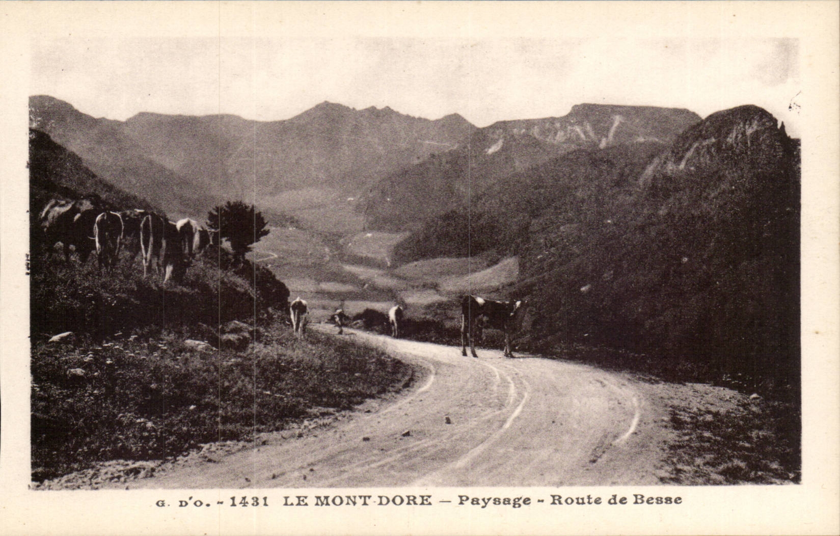 CPA Auvergne the Mount Gilds Landscape Road of Bessse (cows)