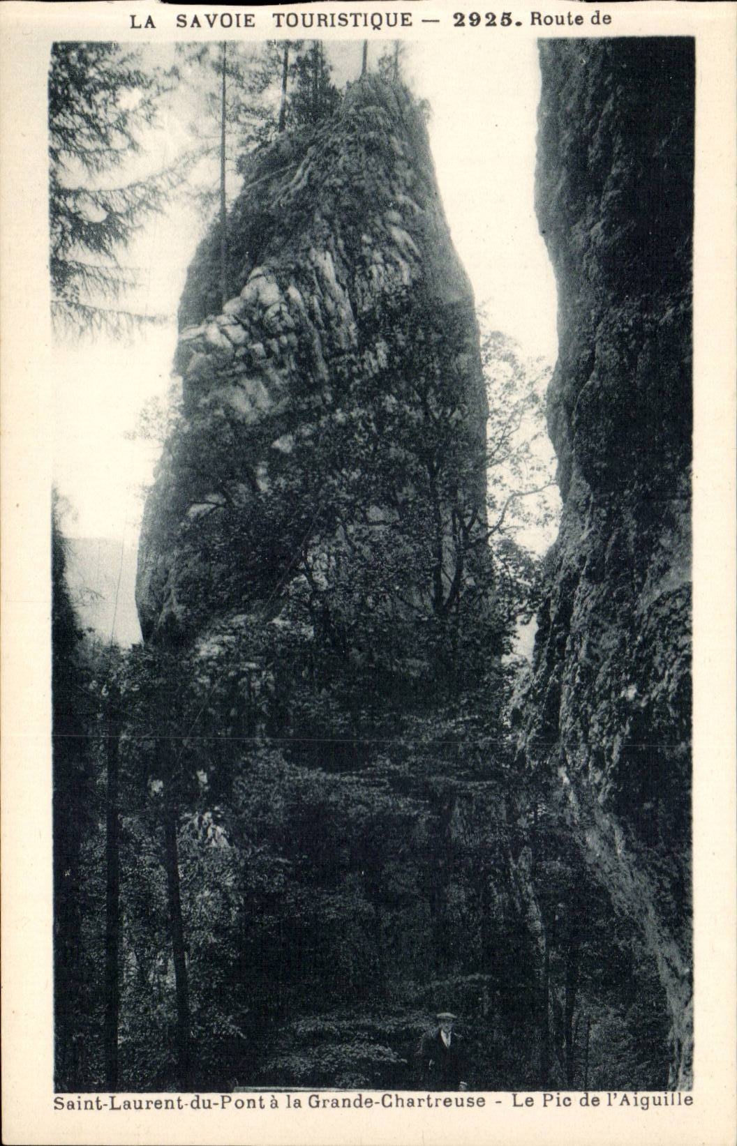 Route de St Laurent du Pont and Large Chartreuse - the Pine of Needle - CPA