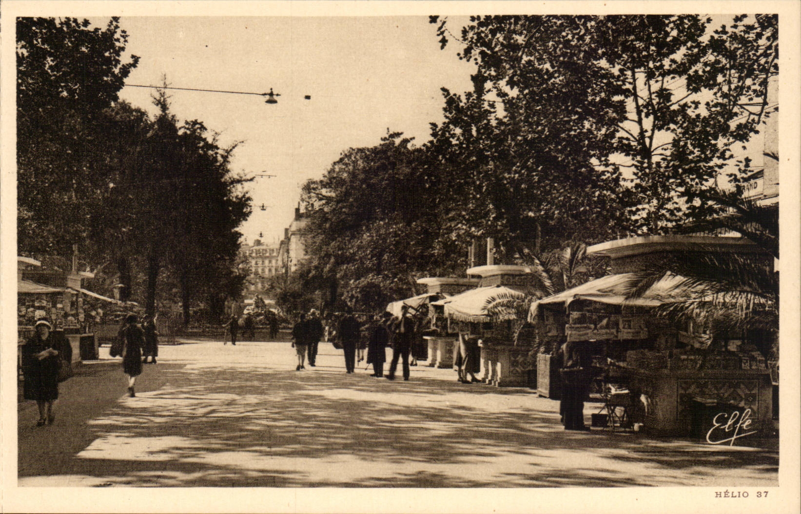 Toulouse - Avenue Jean Jaures - CPA 