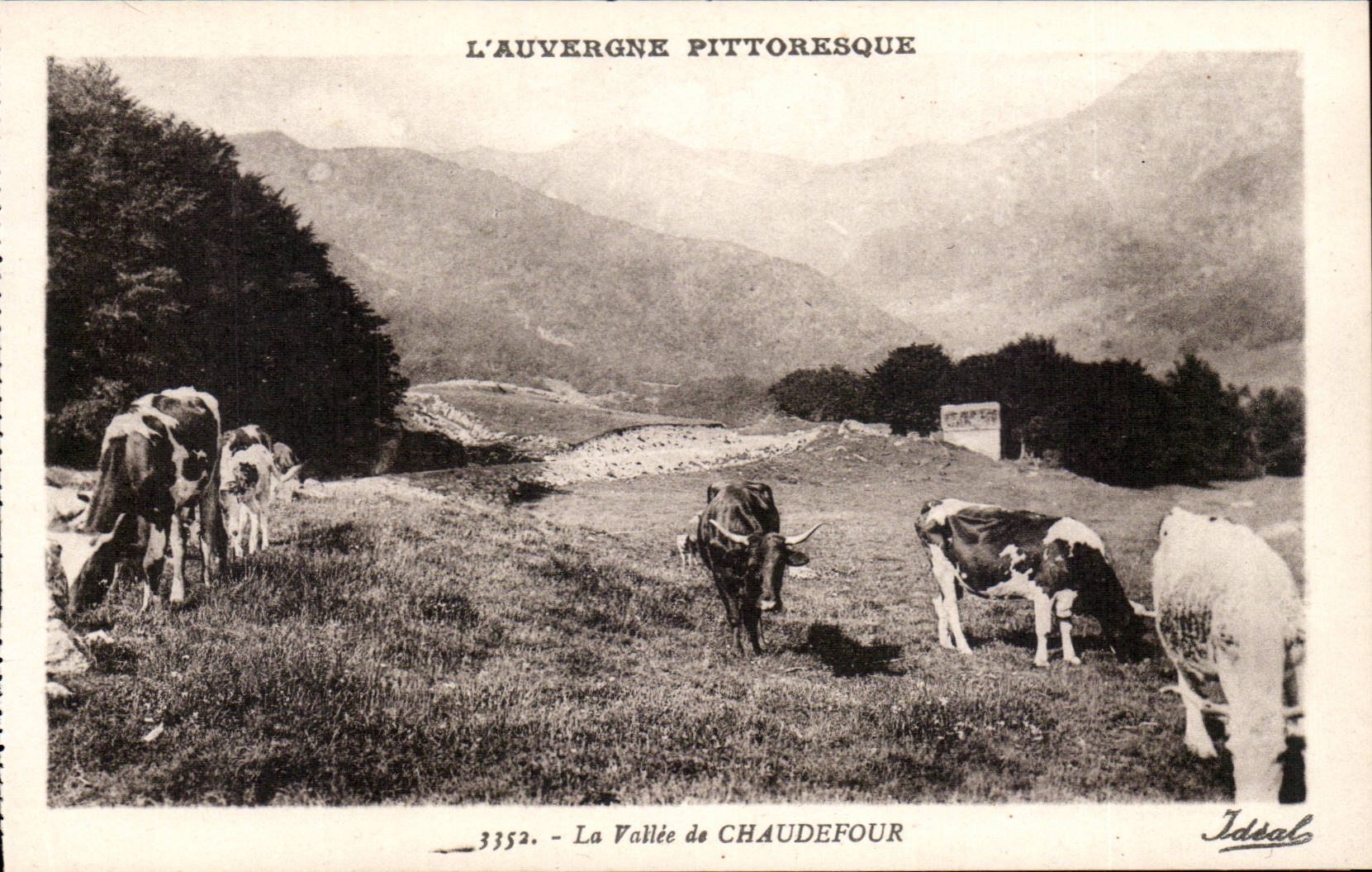 CPA Auvergne the valley of Chaudefour (cows)